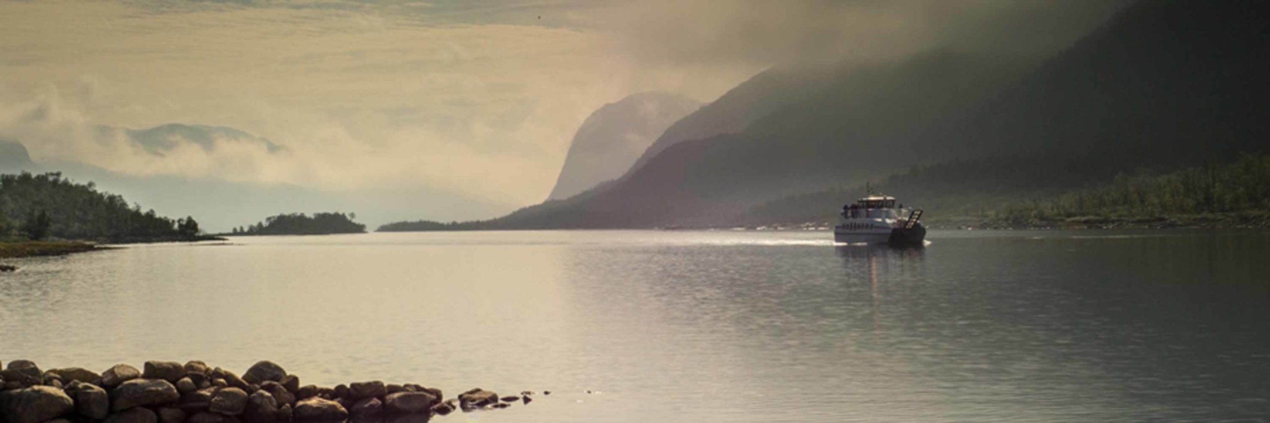 Fjellvåken